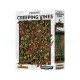 Creeping Vines